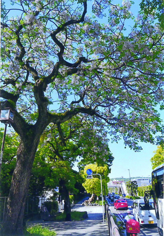 鎌倉朝日新聞社