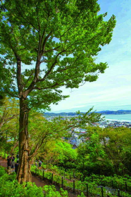 鎌倉朝日新聞社