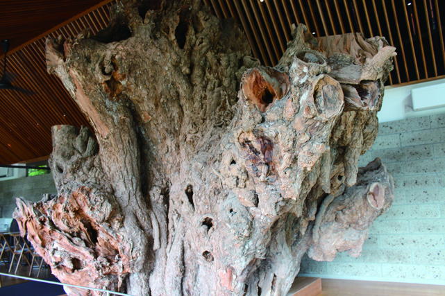 鎌倉朝日新聞社