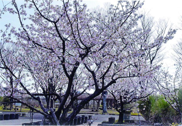 鎌倉朝日新聞社