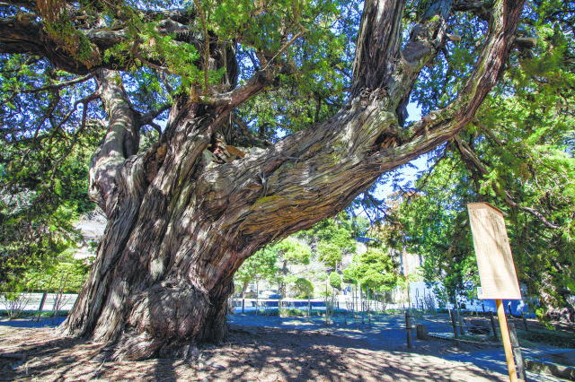 鎌倉朝日新聞社